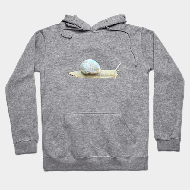 Snail Hoodie by A_using_colors